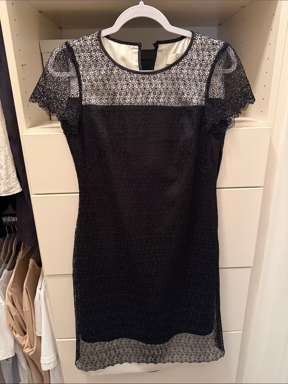 Black Lace Overlay Sheath Dress
